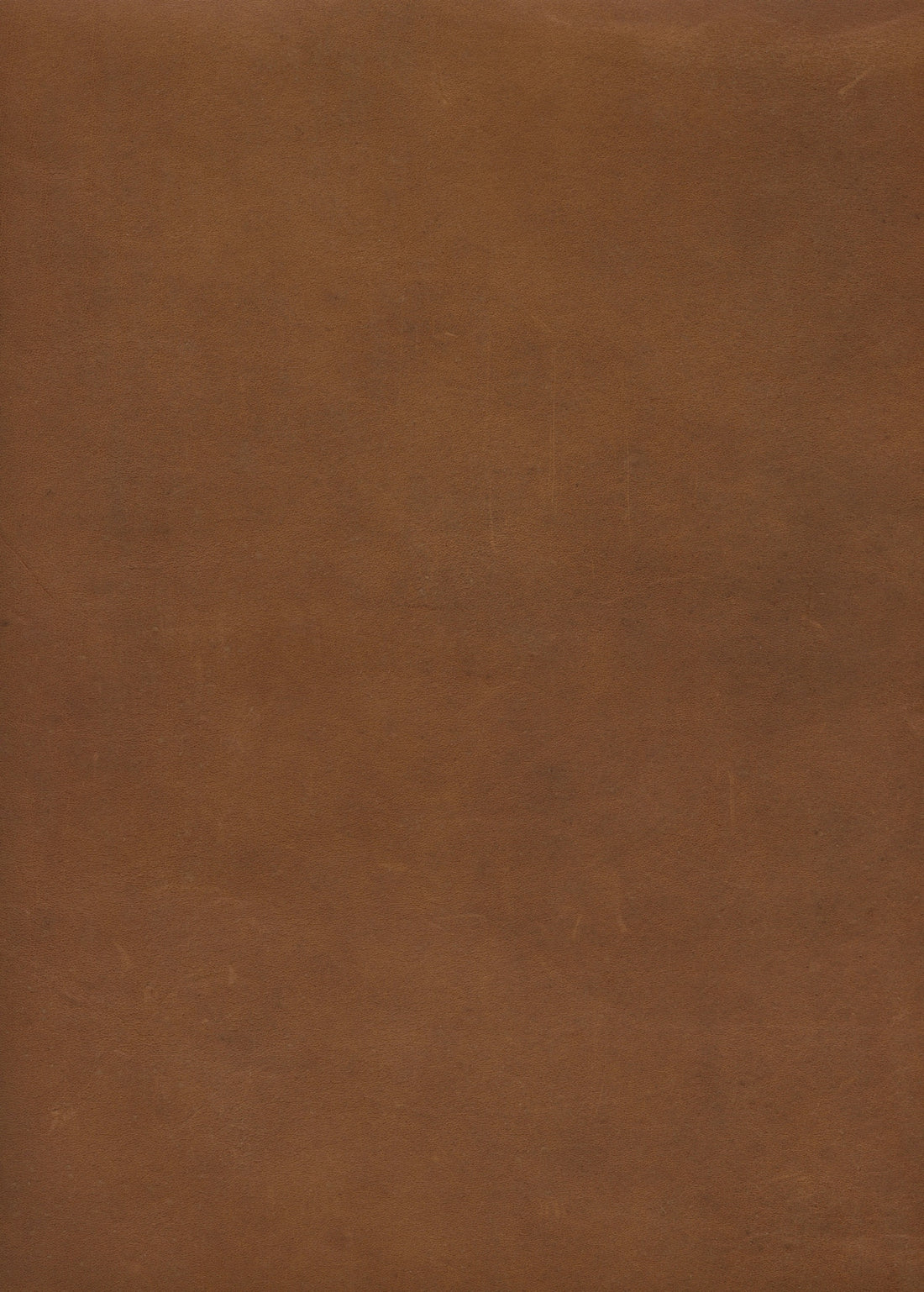 A plain, brown surface fills the image