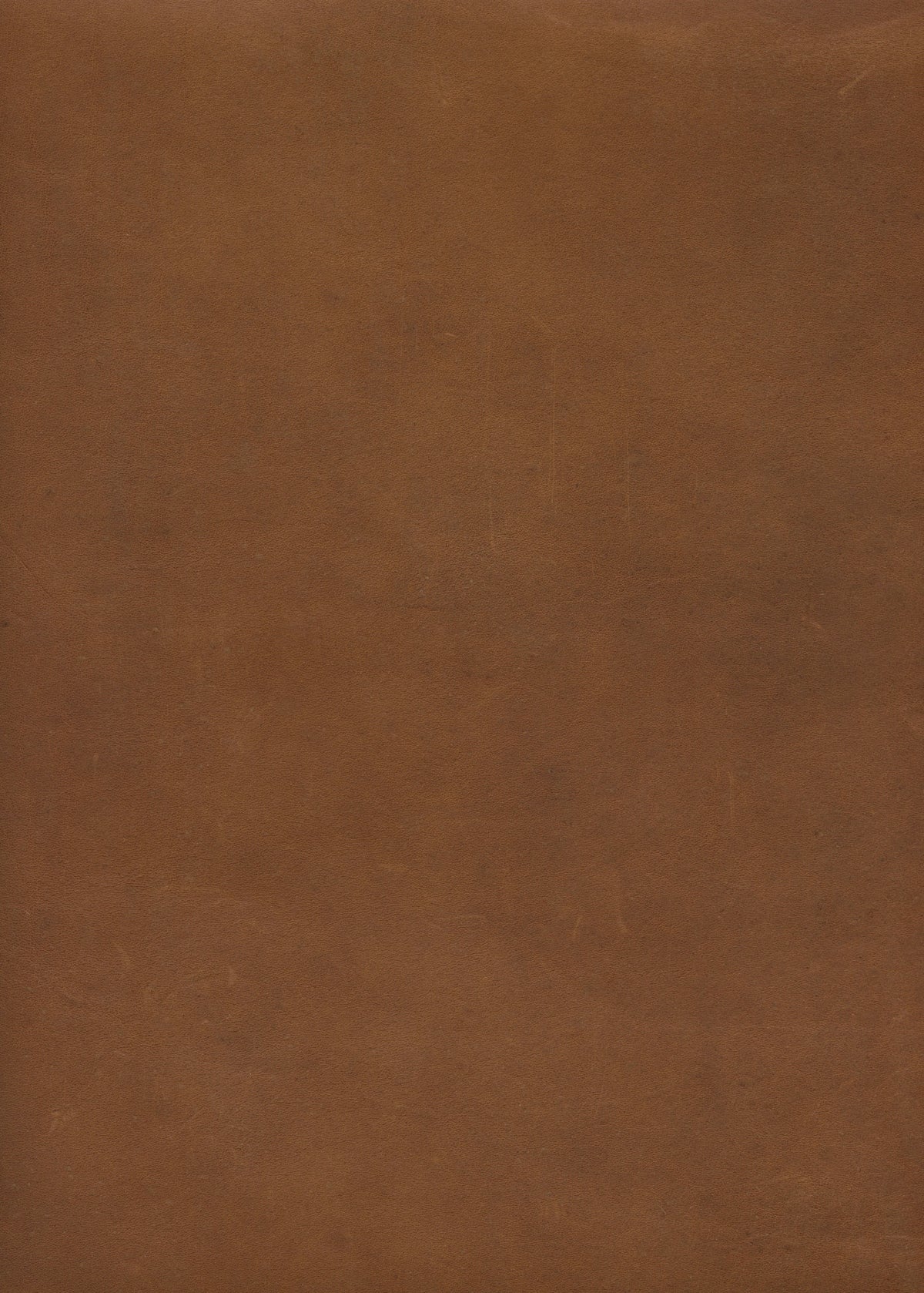 A plain, brown surface fills the image