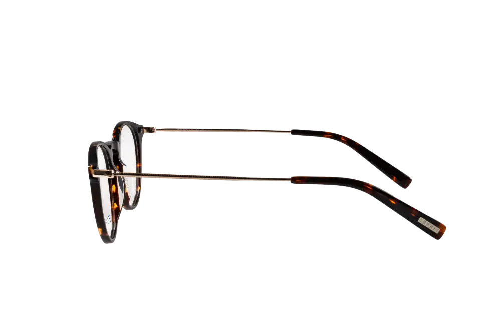 Round Optical Frame ET34002-C503-49-F-DMI/GLD