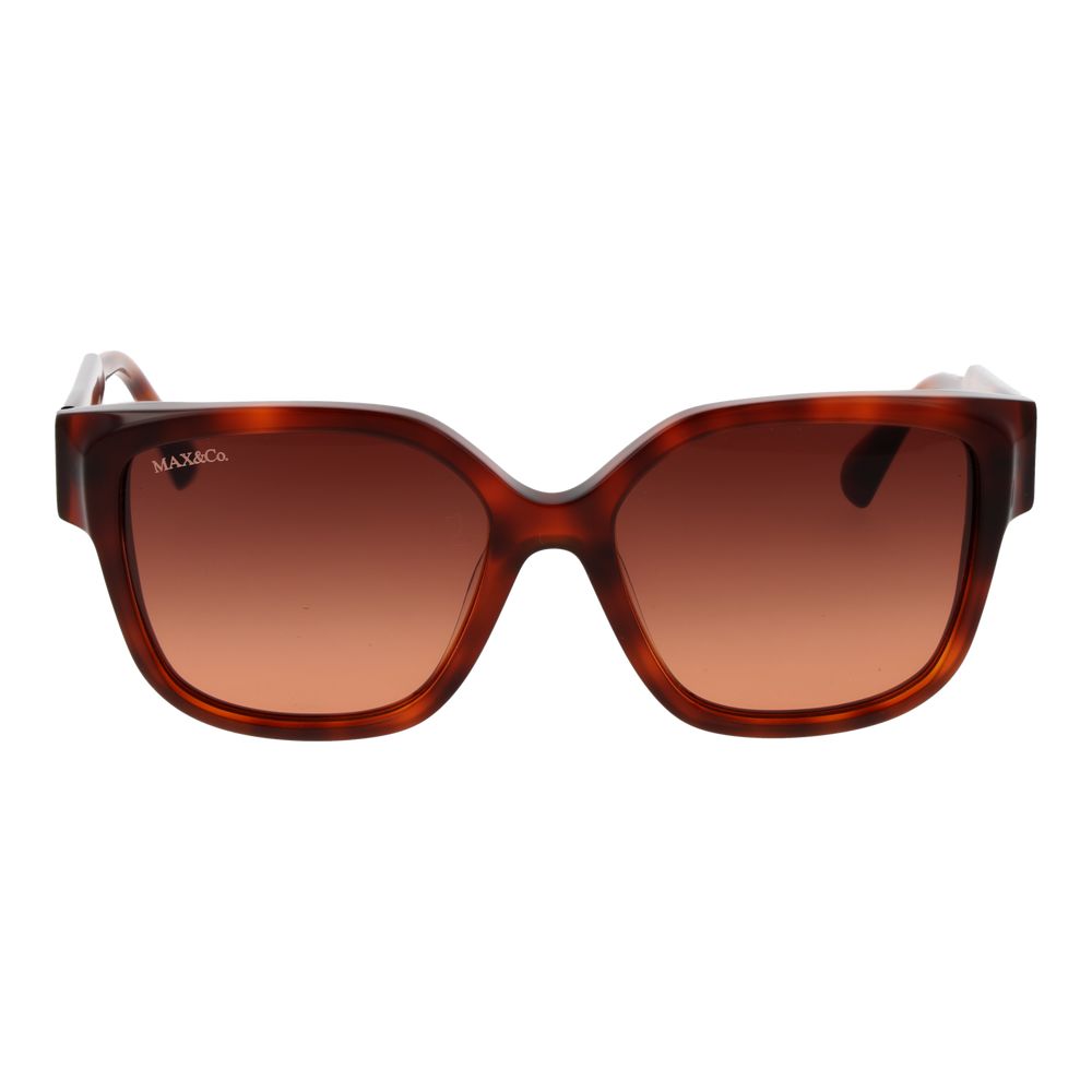 Brown Plastic Full‑Rim Butterfly Sunglasses