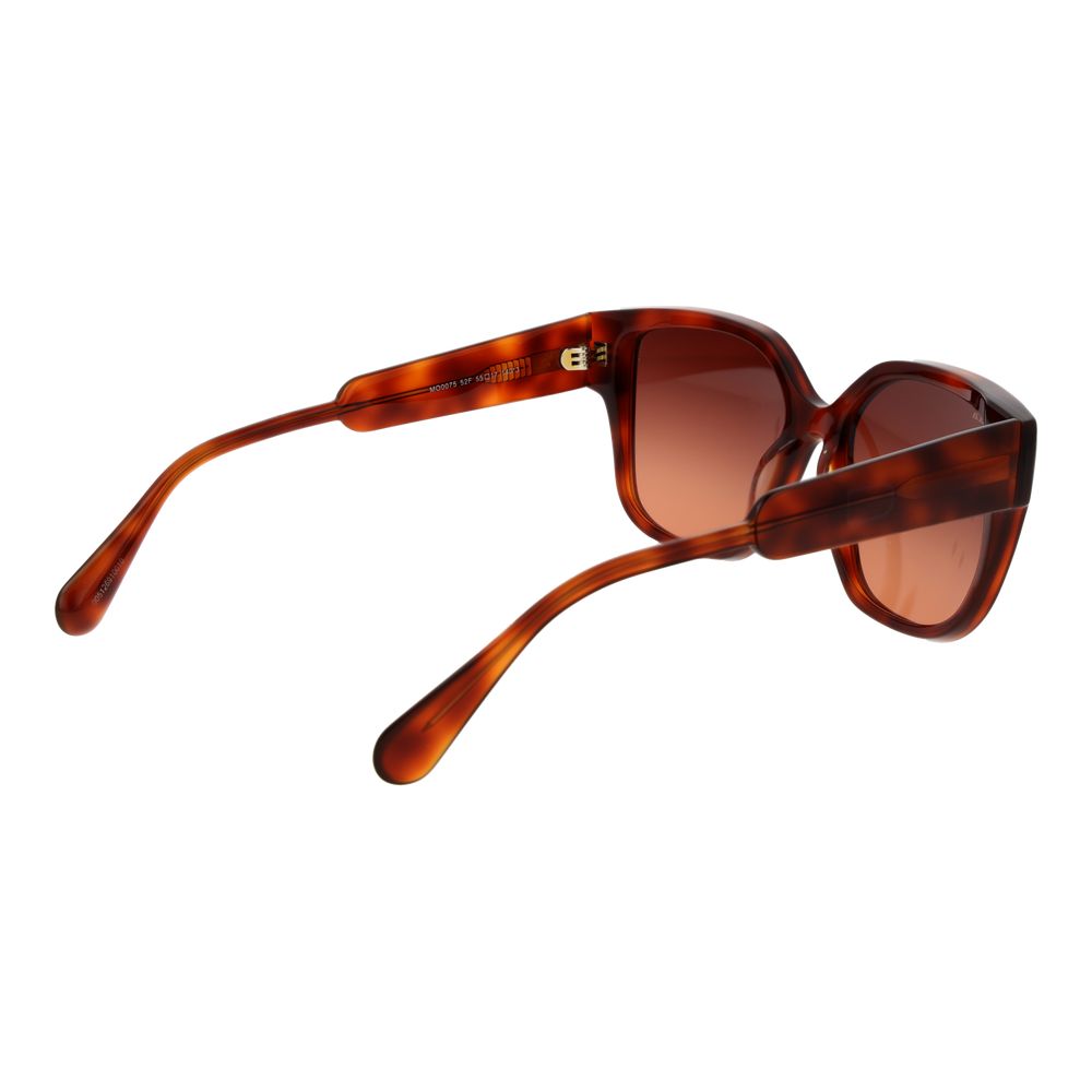 Brown Plastic Full‑Rim Butterfly Sunglasses