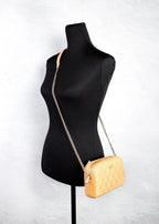 Mini Tiramisu Quilted Smooth Leather Camera Crossbody Bag