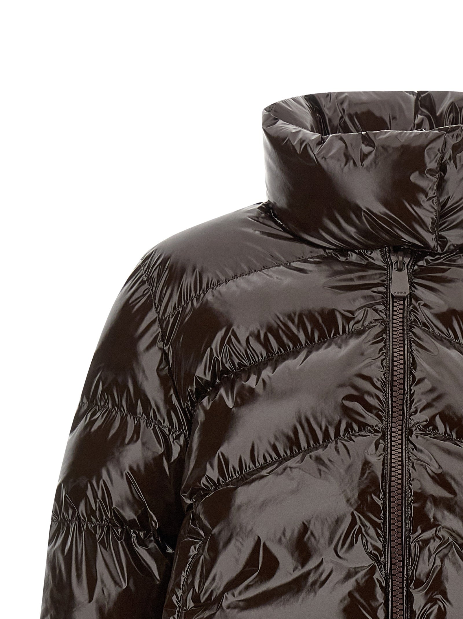 Brown Glossy Polyamide Down Jacket