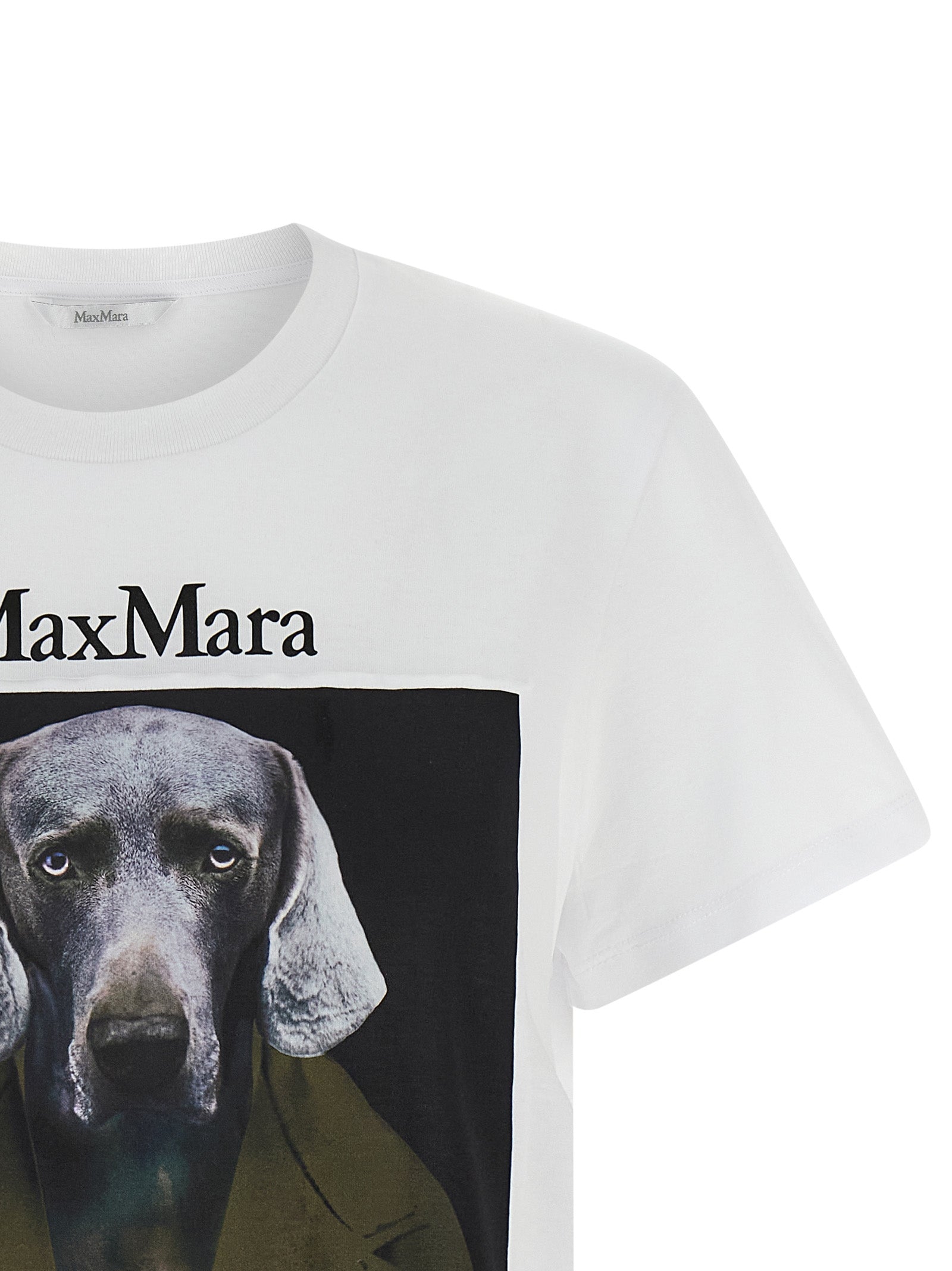 Mxmcalca Weimaraner Graphic Cotton T-Shirt