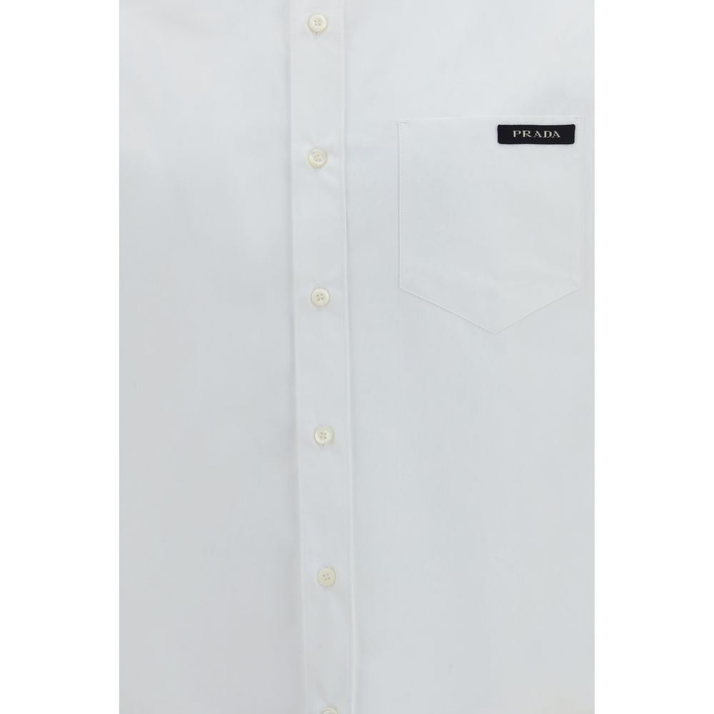 Cotton Regular Fit Dress Shirt