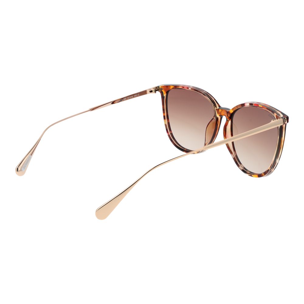 Brown Plastic Sunglasses