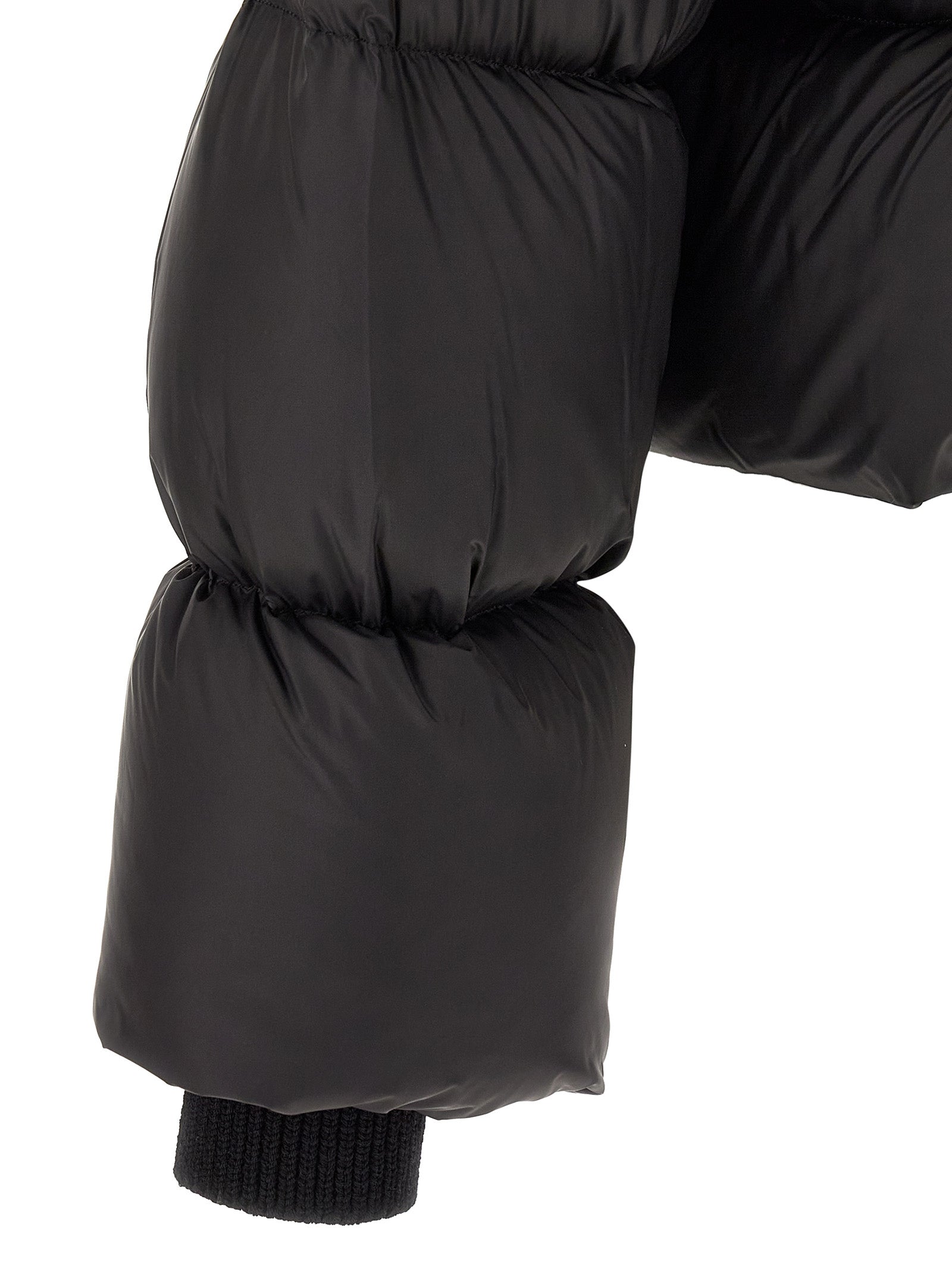 Turtle Nylon Down Jacket