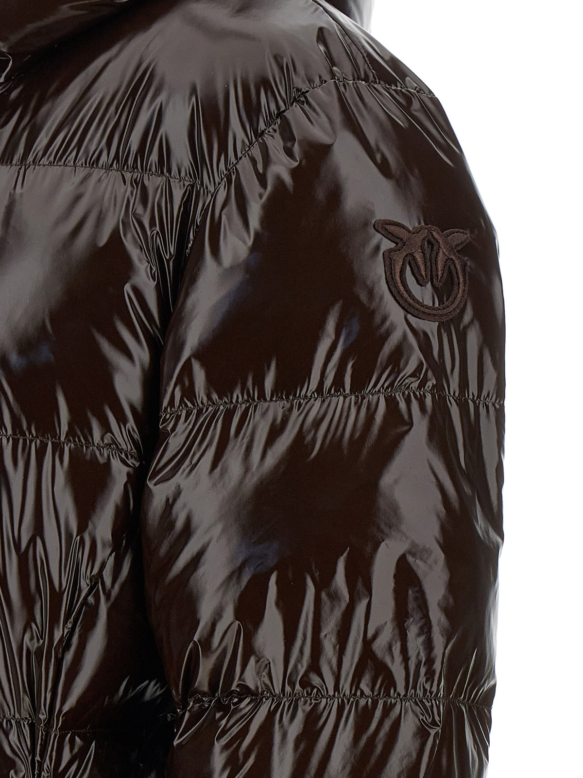 Dark Brown Full-Length Polyamide Down Jacket
