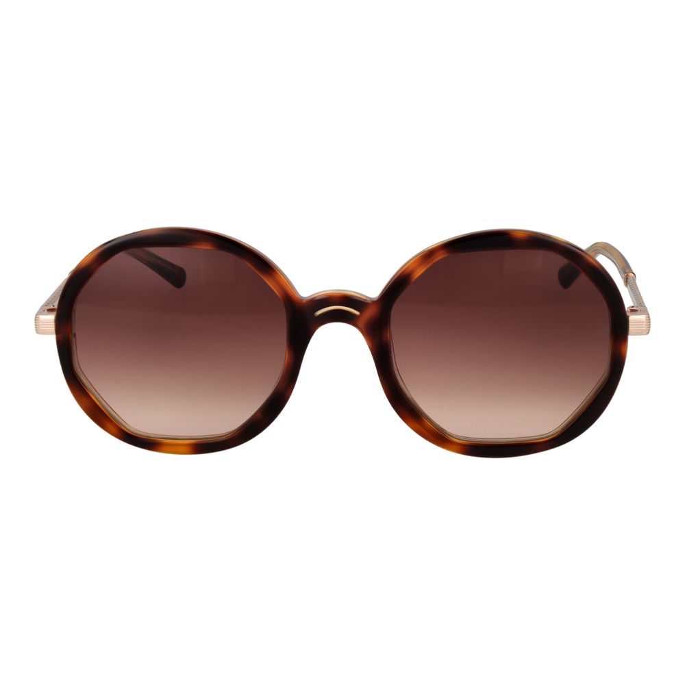 Brown Acetate Square Sunglasses