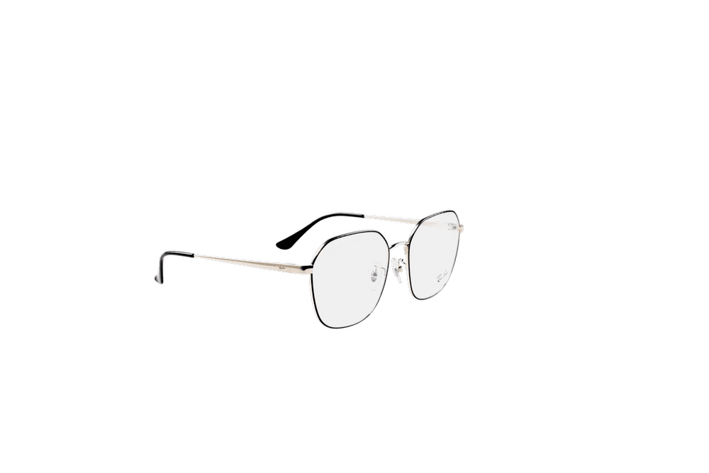Oversized Optical Frame RB6490D-C2983-56-F-BLK.SLV