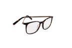Square Optical Frame ET34003-C503-52-F-DMI/GLD